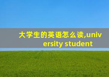 大学生的英语怎么读,university student